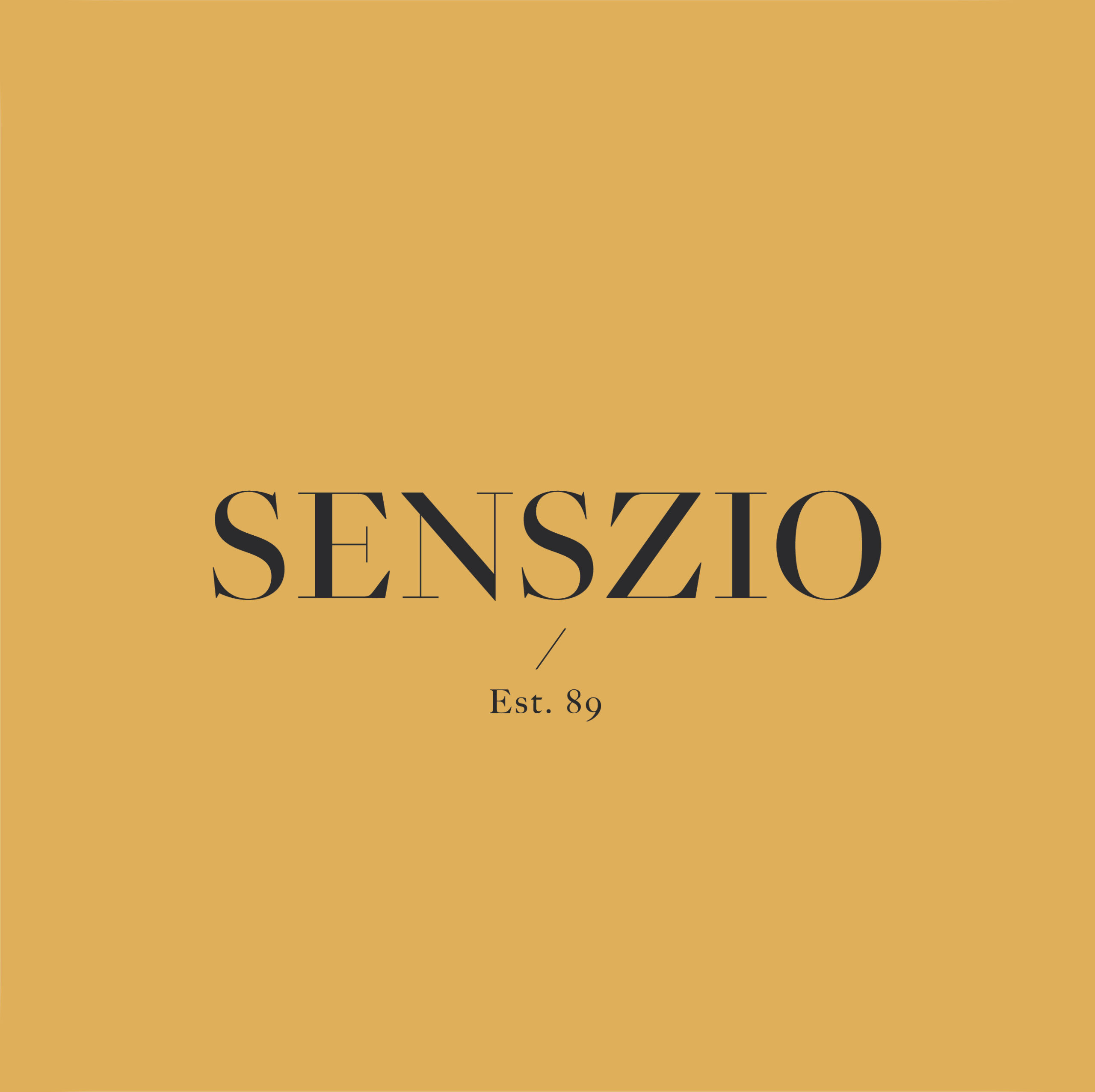 Senszio Style Consultant Training